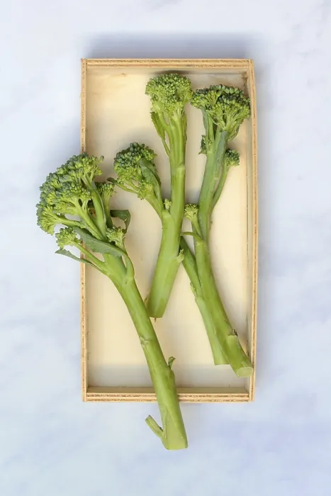 Gerahmter Druck : Bimi, Broccolini, Asparagus-Broccoli in Kartons. Gerahmter Druck : Bimi, Broccolini, Asparagus-Broccoli in Kartons.