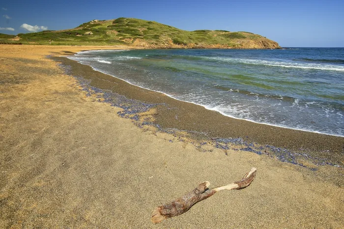 Gerahmter Druck : Binímel.là Strand, Menorca Gerahmter Druck : Binímel.là Strand, Menorca