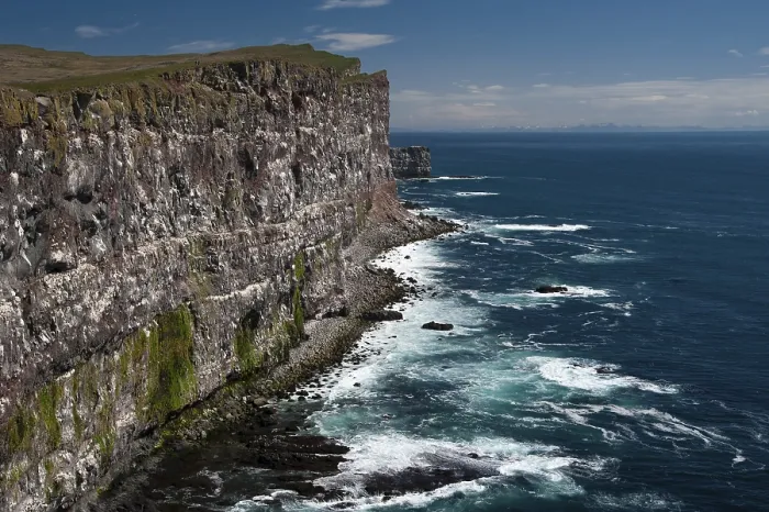 Gerahmter Druck : Latrabjarg Vogelklippen Gerahmter Druck : Latrabjarg Vogelklippen
