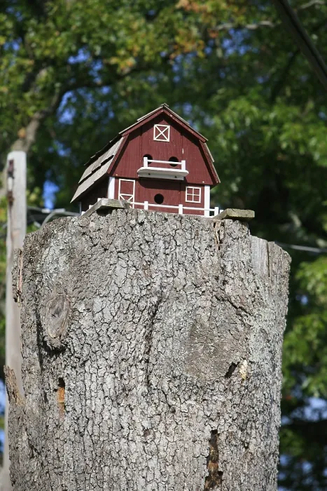 Gerahmter Druck : Vogelhaus auf einem Baumstamm. Gerahmter Druck : Vogelhaus auf einem Baumstamm.