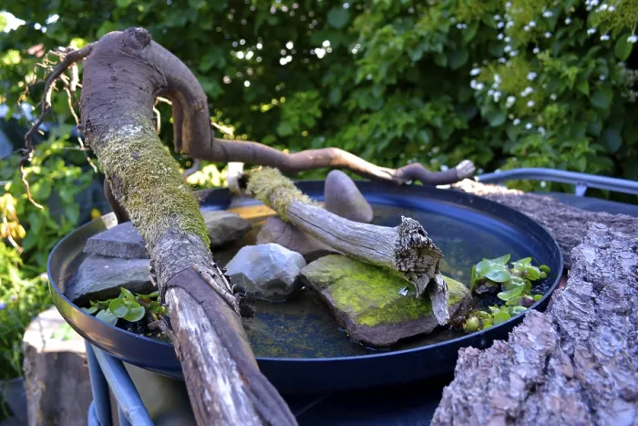 Gerahmter Druck : Vogelbad im Garten Gerahmter Druck : Vogelbad im Garten