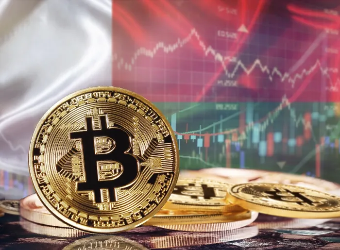 Gerahmter Druck : Bitcoin mit Flagge von Madagaskar im Hintergrund.