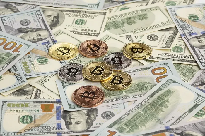 Gerahmter Druck : Bitcoin ist die beste Papierwährung.
