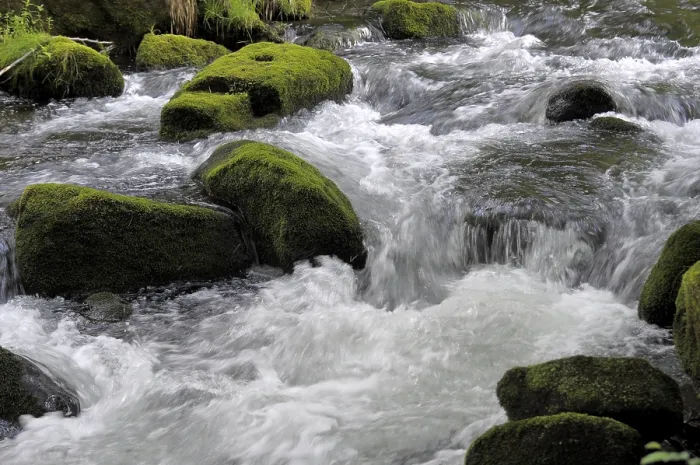 Gerahmter Druck : Schwarzwaldbach, Eyach Gerahmter Druck : Schwarzwaldbach, Eyach