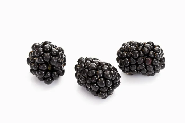 Gerahmter Druck : Drei schwarze Beeren. Gerahmter Druck : Drei schwarze Beeren.