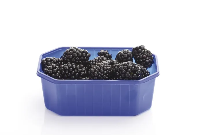 Gerahmter Druck : Schwarze Beeren in einem Plastikbox. Gerahmter Druck : Schwarze Beeren in einem Plastikbox.
