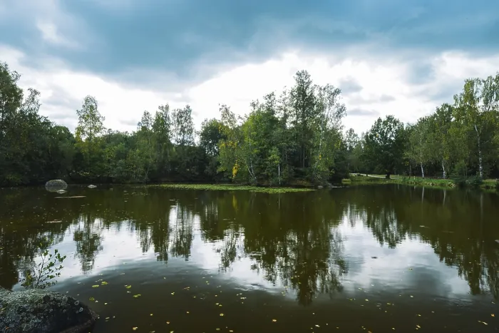 Gerahmter Druck : Seeheimer See mit Spiegelung Gerahmter Druck : Seeheimer See mit Spiegelung