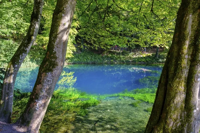 Gerahmter Druck : Blauer Frühling, Karstbrunnen, Blautopf. Gerahmter Druck : Blauer Frühling, Karstbrunnen, Blautopf.