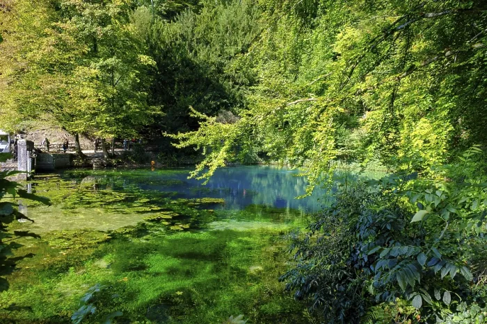 Gerahmter Druck : Blauer Frühling, Karstbrunnen, Blautopf Gerahmter Druck : Blauer Frühling, Karstbrunnen, Blautopf