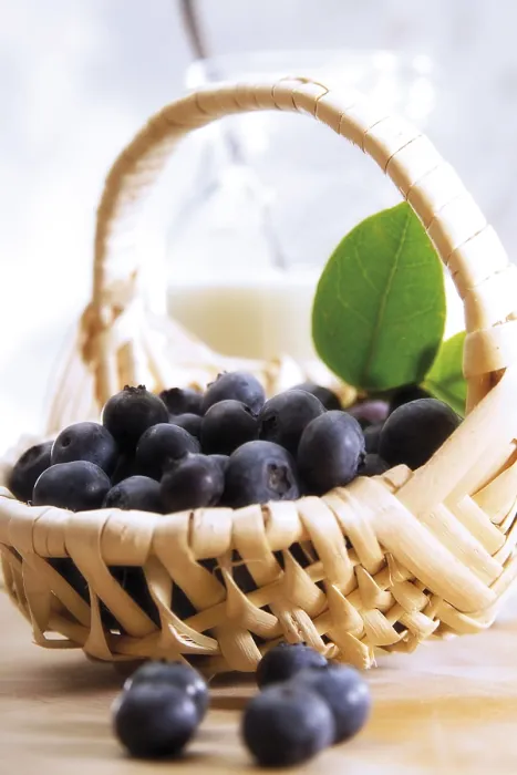 Gerahmter Druck : Blaubeeren in einem Korb. Gerahmter Druck : Blaubeeren in einem Korb.