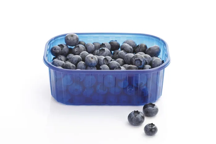 Gerahmter Druck : Blaubeeren in einem Plastikbox. Gerahmter Druck : Blaubeeren in einem Plastikbox.