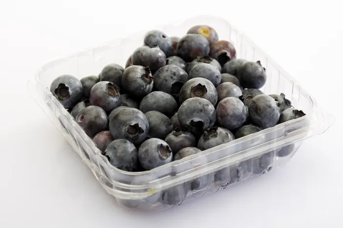 Gerahmter Druck : Blaubeeren in einem Kunststoff-Teilbehälter Gerahmter Druck : Blaubeeren in einem Kunststoff-Teilbehälter
