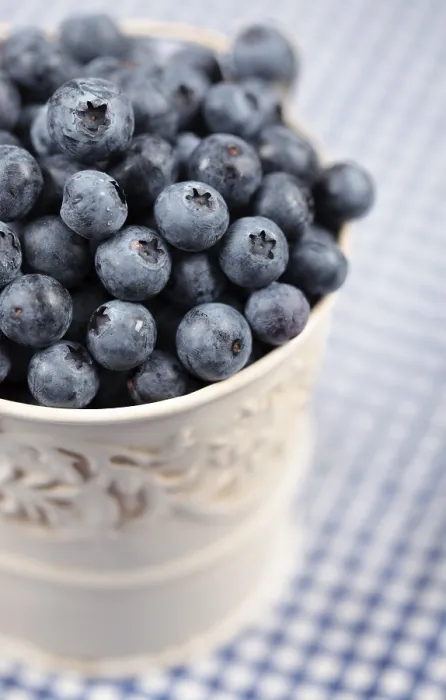 Gerahmter Druck : Blaubeeren in einem Topf Gerahmter Druck : Blaubeeren in einem Topf