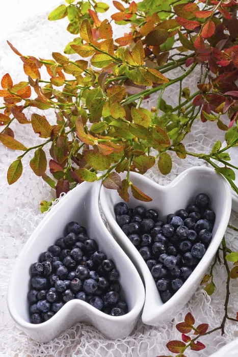 Gerahmter Druck : Blueberry Gerahmter Druck : Blueberry