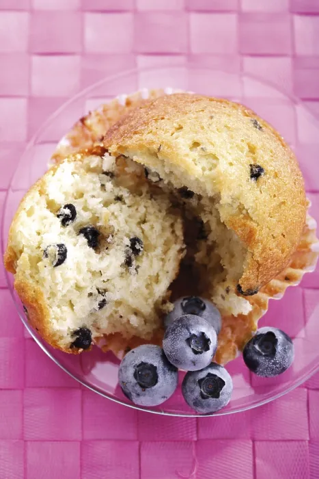 Gerahmter Druck : Blaubeermuffin Gerahmter Druck : Blaubeermuffin