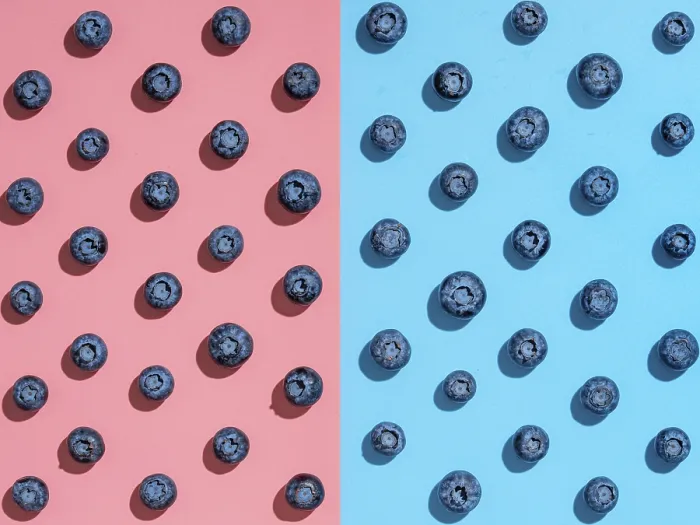 Gerahmter Druck : Blaubeerenschema. Minimalistisches Konzept