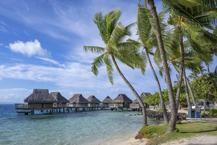 Gerahmter Druck : Bora Bora, Palmen, Liegestühle Gerahmter Druck : Bora Bora, Palmen, Liegestühle