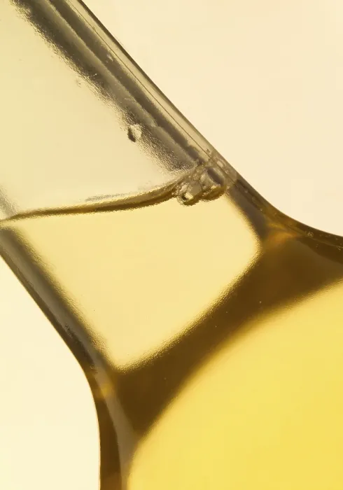 Gerahmter Druck : Halsdrossel, Weinflasche, Detail. Gerahmter Druck : Halsdrossel, Weinflasche, Detail.