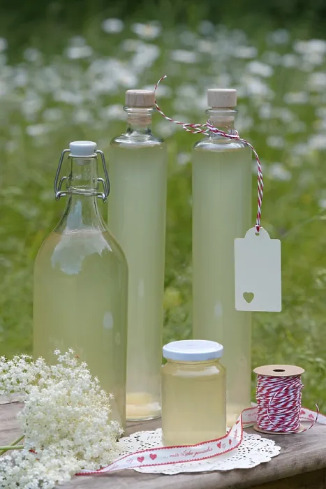 Gerahmter Druck : Flaschen mit Elderblütensirup. Gerahmter Druck : Flaschen mit Elderblütensirup.