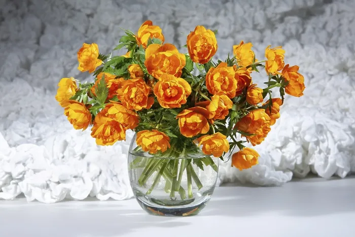 Gerahmter Druck : Blumenstrauß auf einem Studioshelfer-Hintergrund. Gerahmter Druck : Blumenstrauß auf einem Studioshelfer-Hintergrund.
