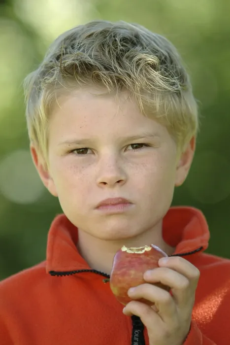 Gerahmter Druck : Der Junge isst einen Apfel. Gerahmter Druck : Der Junge isst einen Apfel.