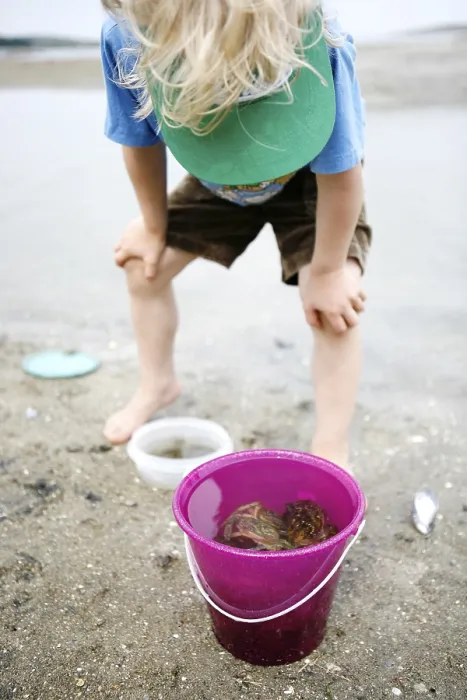 Gerahmter Druck : Ein Junge spielt am Meer. Gerahmter Druck : Ein Junge spielt am Meer.