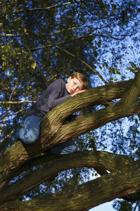 Gerahmter Druck : Junge sitzt auf Baum, Wandersleben. Gerahmter Druck : Junge sitzt auf Baum, Wandersleben.