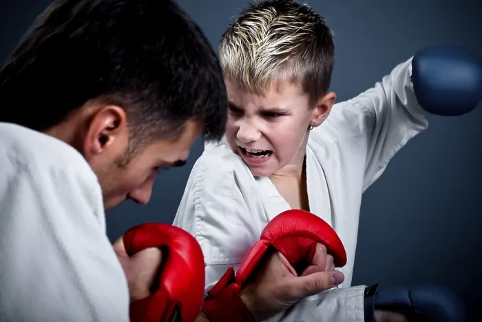Gerahmter Druck : Junge mit seinem Trainer beim Karatetraining schlägt. Gerahmter Druck : Junge mit seinem Trainer beim Karatetraining schlägt.