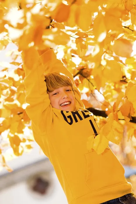 Gerahmter Druck : Junge auf Baum im Herbst. Gerahmter Druck : Junge auf Baum im Herbst.