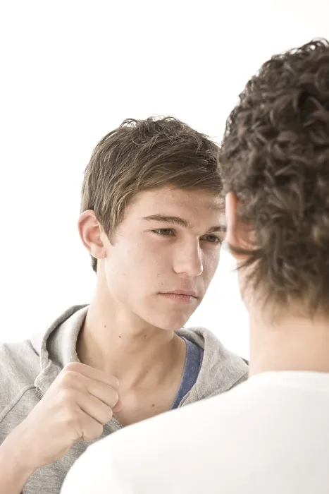 Gerahmter Druck : Zwei Jungen streiten miteinander Gerahmter Druck : Zwei Jungen streiten miteinander