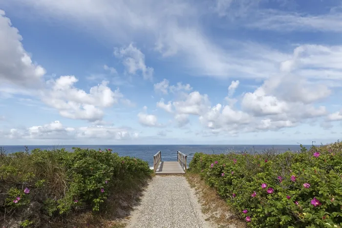 Gerahmter Druck : Braderup Heath, Weg zum Watt. Gerahmter Druck : Braderup Heath, Weg zum Watt.