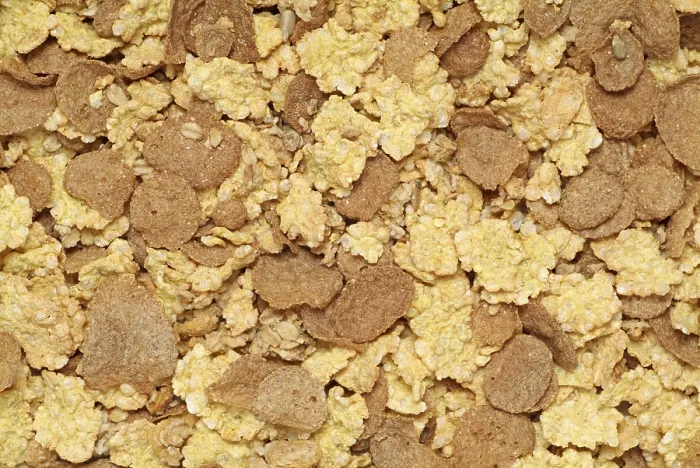 Gerahmter Druck : Branflakes-Frühstücksflocken Gerahmter Druck : Branflakes-Frühstücksflocken