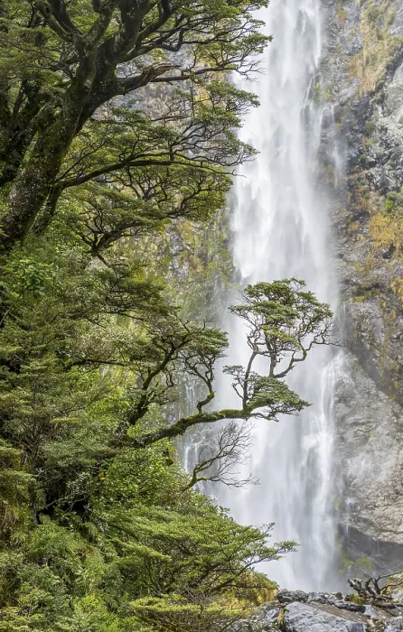 Gerahmter Druck : Ast eines Baumes vor Wasserfall Gerahmter Druck : Ast eines Baumes vor Wasserfall