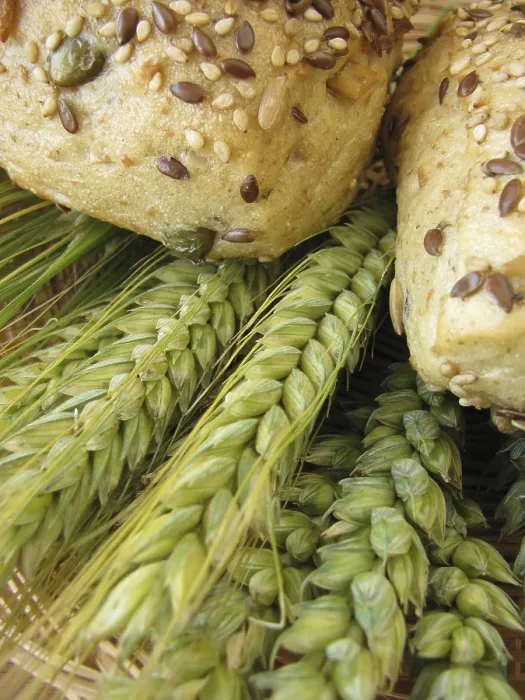 Gerahmter Druck : Brötchen und Haferflocken Gerahmter Druck : Brötchen und Haferflocken