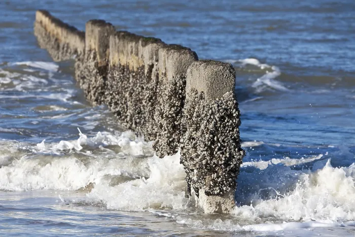 Gerahmter Druck : Mole an der Strand, Kampen. Gerahmter Druck : Mole an der Strand, Kampen.