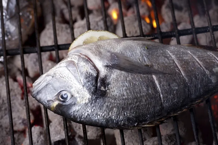 Gerahmter Druck : Barsch auf einem Holzkohlegrill. Gerahmter Druck : Barsch auf einem Holzkohlegrill.