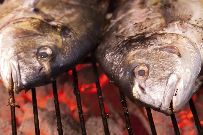 Gerahmter Druck : Barsch auf einem Holzkohlegrill. Gerahmter Druck : Barsch auf einem Holzkohlegrill.