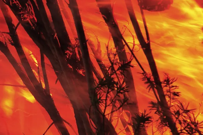 Gerahmter Druck : Brennendes Holz eines Osterfeuers. Gerahmter Druck : Brennendes Holz eines Osterfeuers.