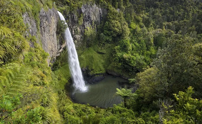 Gerahmter Druck : Bridal Veil Falls in dichter Regenwald, Raglan, Waikato, Nordinsel, Neuseeland