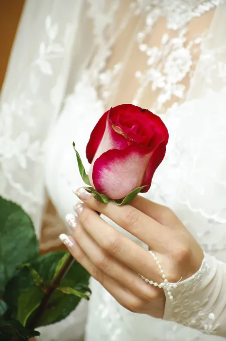 Gerahmter Druck : Die Braut hält eine zarte Rose in der Hand.