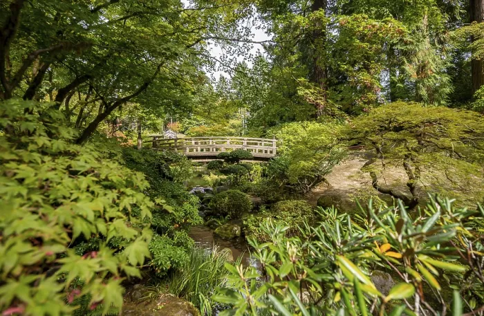 Gerahmter Druck : Brücke über einen etablierten Bach Gerahmter Druck : Brücke über einen etablierten Bach