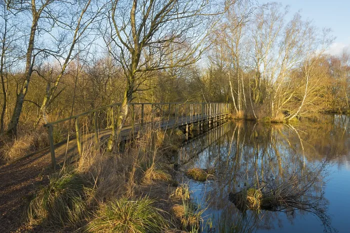 Gerahmter Druck : Brücke im Abendlicht, De Deelen. Gerahmter Druck : Brücke im Abendlicht, De Deelen.