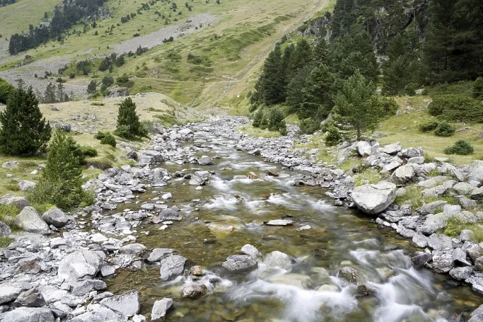 Gerahmter Druck : Bogen über einen Bergstrom. Gerahmter Druck : Bogen über einen Bergstrom.