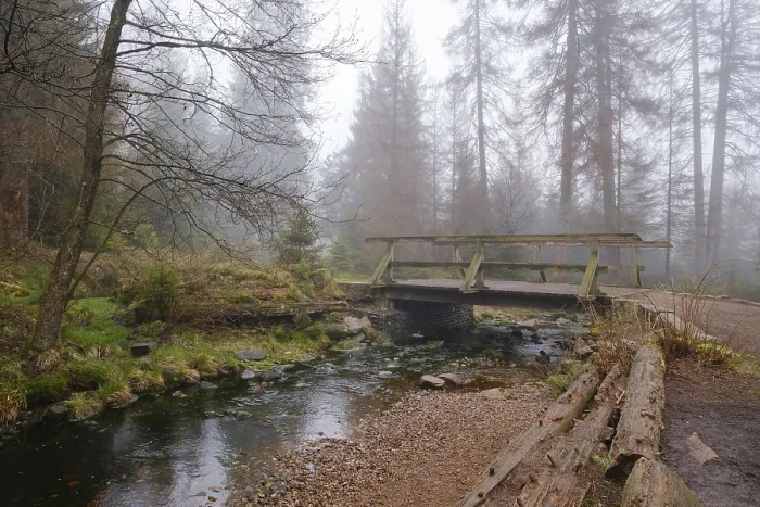 Gerahmter Druck : Brücke am Oderteich, Nebel Gerahmter Druck : Brücke am Oderteich, Nebel