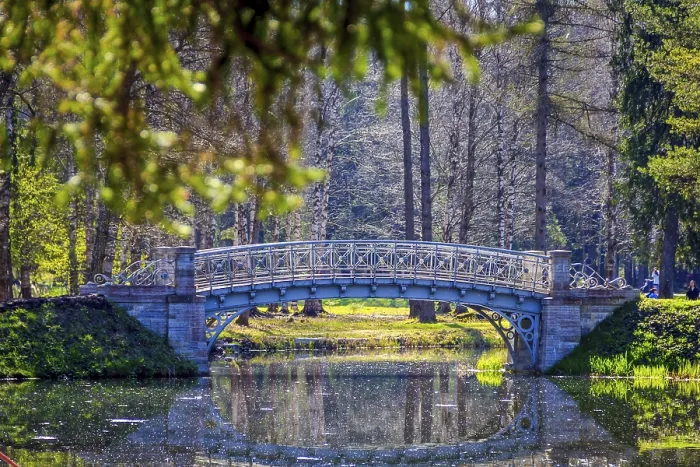 Gerahmter Druck : Brücke im Frühling im Park Gerahmter Druck : Brücke im Frühling im Park