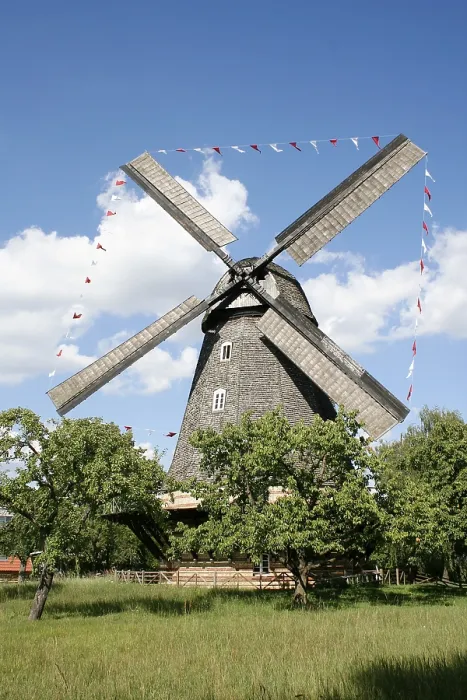 Gerahmter Druck : Britzer Mühle, Stechhansche Windmühle Gerahmter Druck : Britzer Mühle, Stechhansche Windmühle
