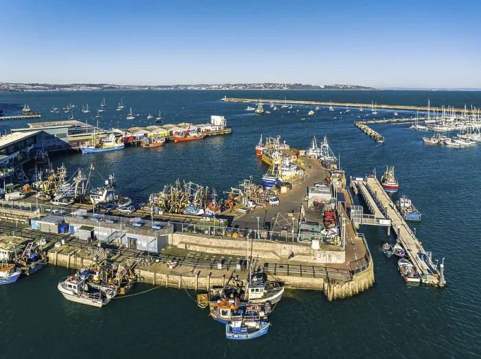 Gerahmter Druck : Brixham Harbour von einem Drohnen, Devon. Gerahmter Druck : Brixham Harbour von einem Drohnen, Devon.