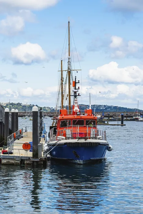 Gerahmter Druck : Brixham Harbour und Marina, Brixham Gerahmter Druck : Brixham Harbour und Marina, Brixham