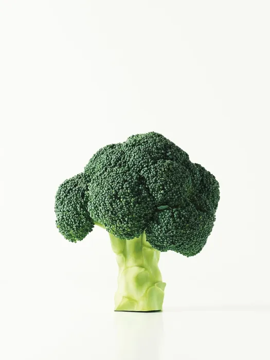 Gerahmter Druck : Broccoli Gerahmter Druck : Broccoli