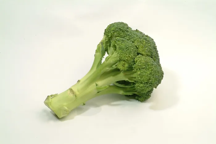 Gerahmter Druck : Broccoli Gerahmter Druck : Broccoli